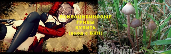 бошки Белоозёрский