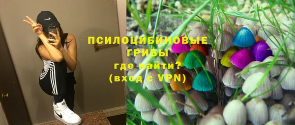 бошки Белоозёрский