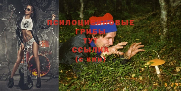 бошки Белоозёрский