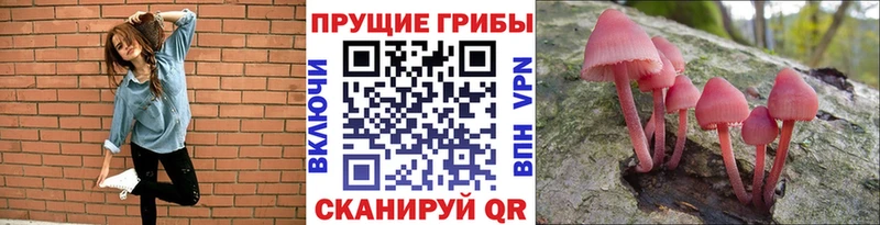 Псилоцибиновые грибы мицелий  Шарья 